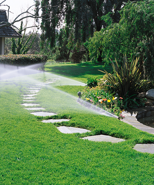 Lawn Sprinkler system