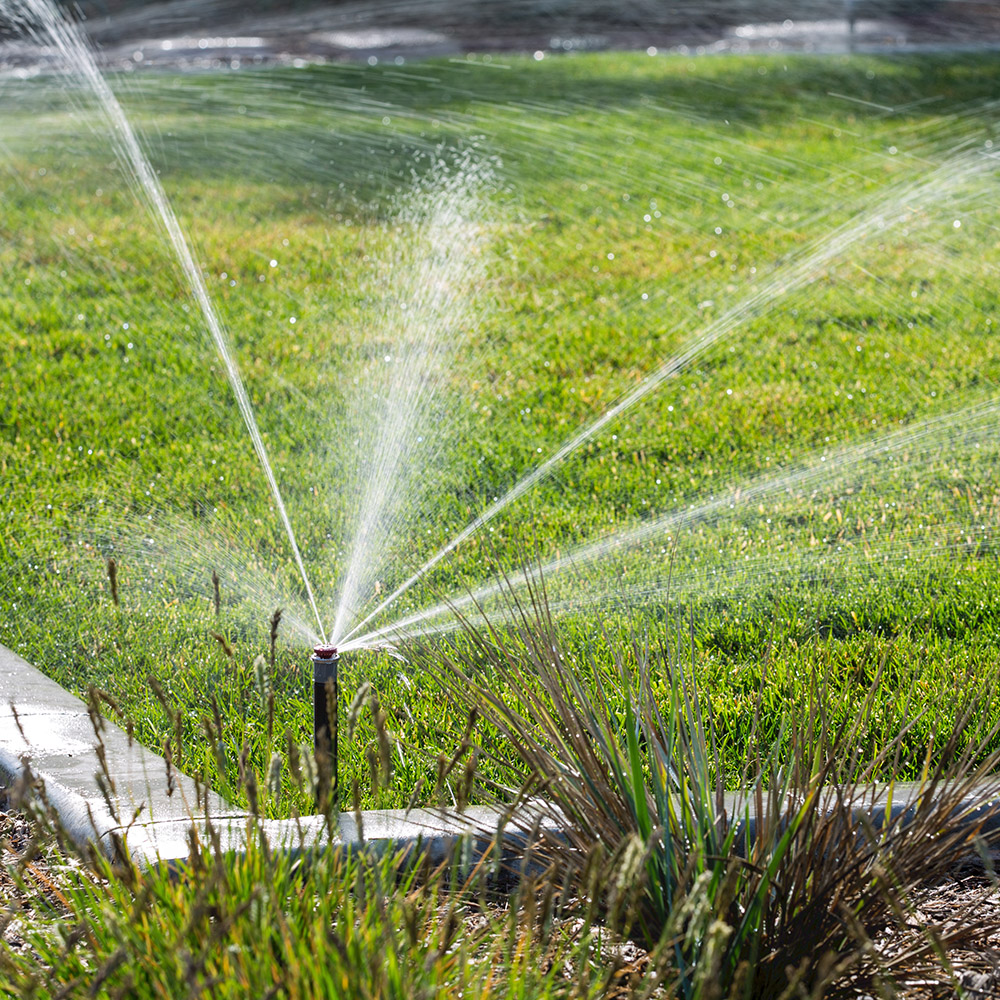 Lawn Sprinkler system